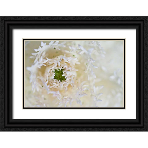 Green Ornamental I Black Ornate Wood Framed Art Print with Double Matting by Styber, Dana