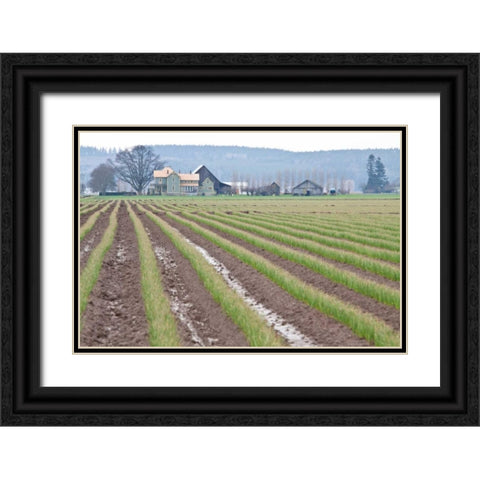 Graceful Greens I Black Ornate Wood Framed Art Print with Double Matting by Styber, Dana