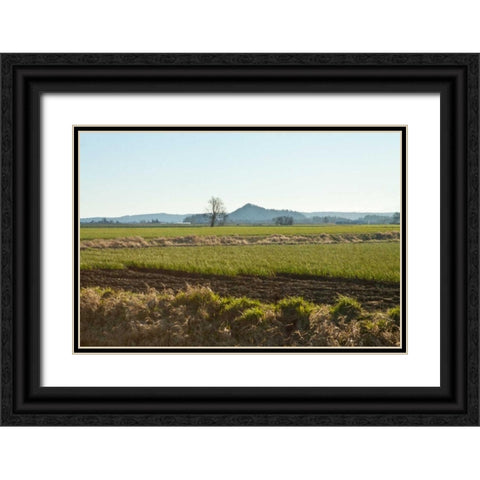 Golden Greens Black Ornate Wood Framed Art Print with Double Matting by Styber, Dana