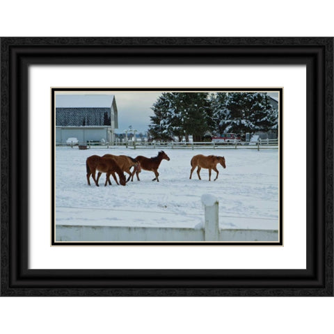 Feeling Spunky Black Ornate Wood Framed Art Print with Double Matting by Styber, Dana