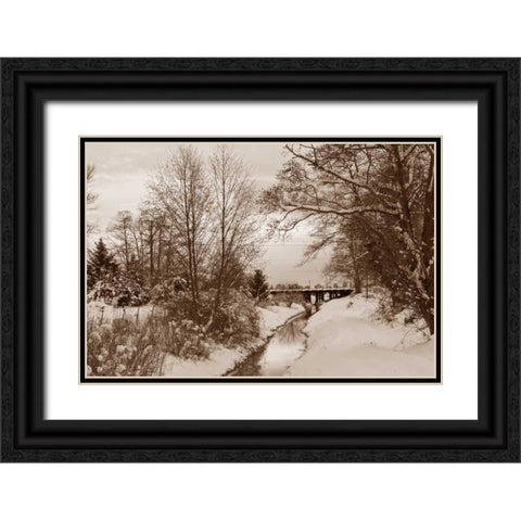 Winter Scenic I Black Ornate Wood Framed Art Print with Double Matting by Styber, Dana