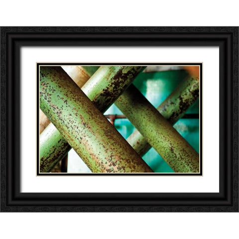 Cross Section Black Ornate Wood Framed Art Print with Double Matting by Styber, Dana