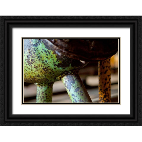 Underbelly Black Ornate Wood Framed Art Print with Double Matting by Styber, Dana