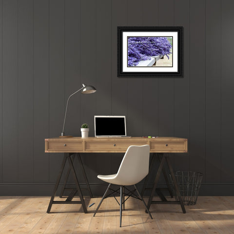 Lavender Harvest I Black Ornate Wood Framed Art Print with Double Matting by Styber, Dana