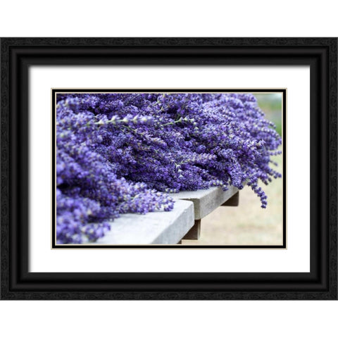 Lavender Harvest I Black Ornate Wood Framed Art Print with Double Matting by Styber, Dana
