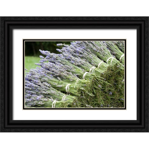 Lavender Bunches II Black Ornate Wood Framed Art Print with Double Matting by Styber, Dana