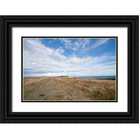 Bluff Path Black Ornate Wood Framed Art Print with Double Matting by Styber, Dana
