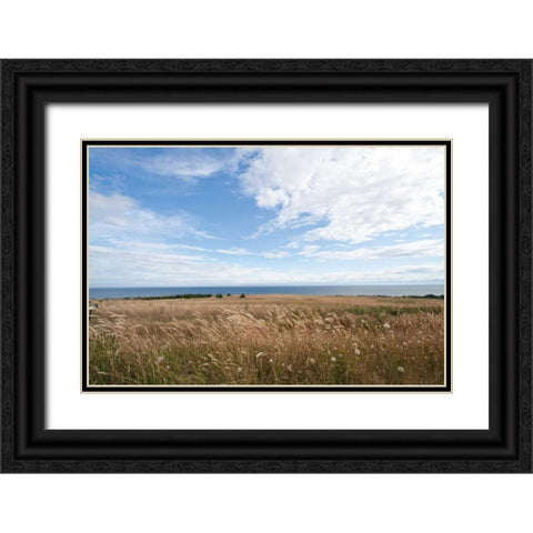 Bluff View Black Ornate Wood Framed Art Print with Double Matting by Styber, Dana