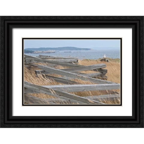 Lighthouse Path Black Ornate Wood Framed Art Print with Double Matting by Styber, Dana