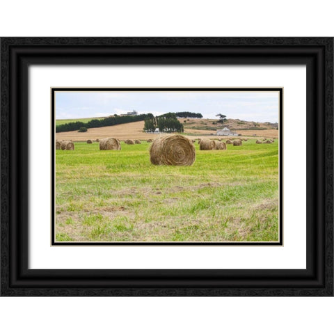 Hay Rolls III Black Ornate Wood Framed Art Print with Double Matting by Styber, Dana