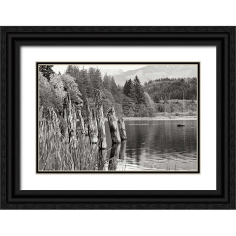Baker Lake Pilings Black Ornate Wood Framed Art Print with Double Matting by Styber, Dana
