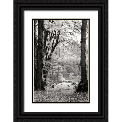 Baker Lake Trail II Black Ornate Wood Framed Art Print with Double Matting by Styber, Dana