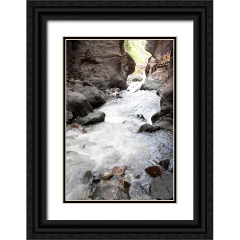 Box Canyon I Black Ornate Wood Framed Art Print with Double Matting by Styber, Dana