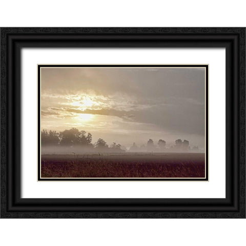 Foggy Morning I Black Ornate Wood Framed Art Print with Double Matting by Styber, Dana