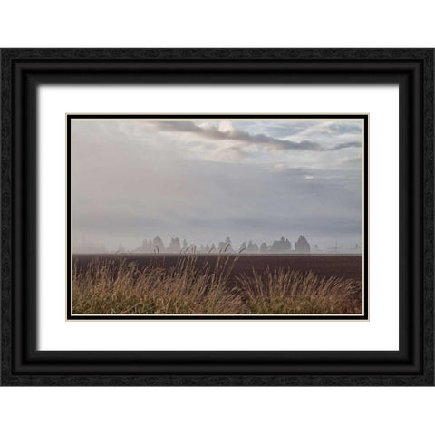 Foggy Morning II Black Ornate Wood Framed Art Print with Double Matting by Styber, Dana