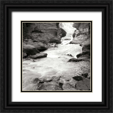 Box Canyon III Black Ornate Wood Framed Art Print with Double Matting by Styber, Dana