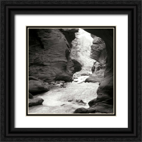 Box Canyon IV Black Ornate Wood Framed Art Print with Double Matting by Styber, Dana