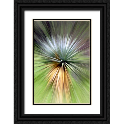 Mountain Yucca Black Ornate Wood Framed Art Print with Double Matting by Taylor, Douglas