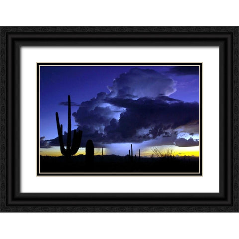 Blue Thunder Black Ornate Wood Framed Art Print with Double Matting by Taylor, Douglas
