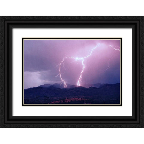 Striking Symmetry I Black Ornate Wood Framed Art Print with Double Matting by Taylor, Douglas