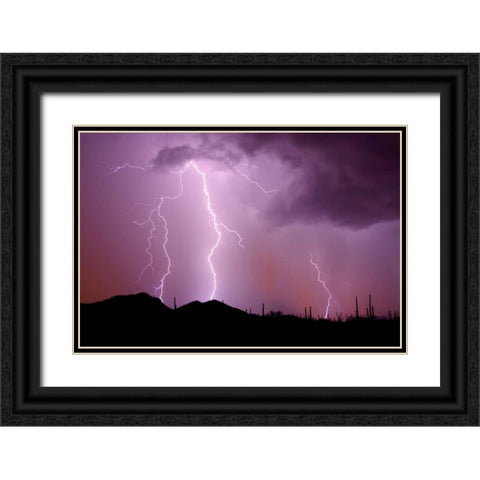 Striking Symmetry II Black Ornate Wood Framed Art Print with Double Matting by Taylor, Douglas