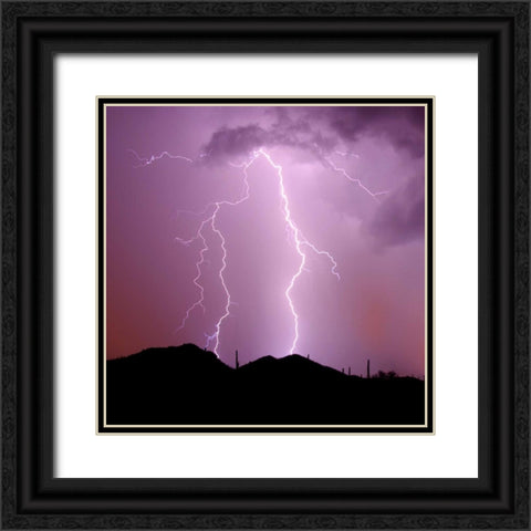 Summer Lightning I Black Ornate Wood Framed Art Print with Double Matting by Taylor, Douglas