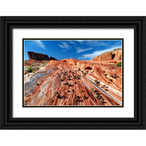 Sands of Time II Black Ornate Wood Framed Art Print with Double Matting by Taylor, Douglas