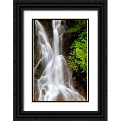 Falling Water I Black Ornate Wood Framed Art Print with Double Matting by Taylor, Douglas