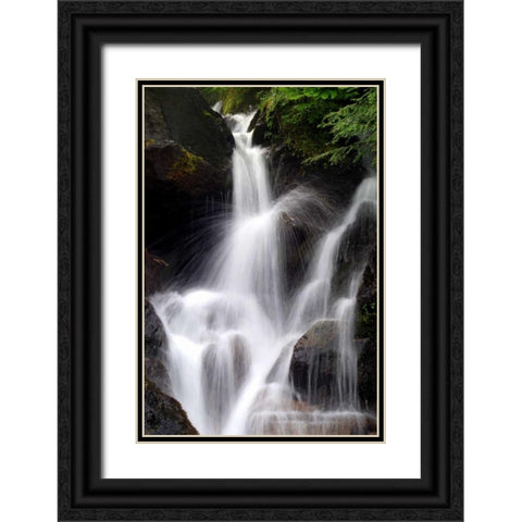 Falling Water II Black Ornate Wood Framed Art Print with Double Matting by Taylor, Douglas