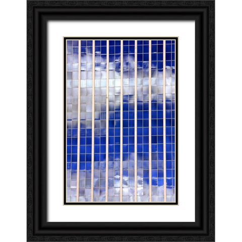 Sky Reflections Black Ornate Wood Framed Art Print with Double Matting by Taylor, Douglas