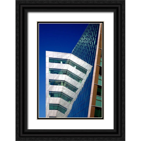 Design Reflections Black Ornate Wood Framed Art Print with Double Matting by Taylor, Douglas