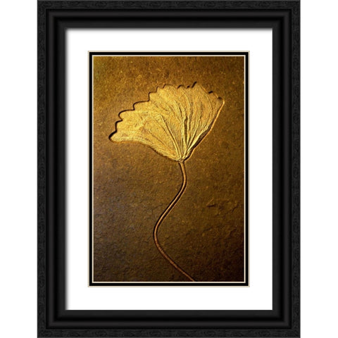 Crinoids II Black Ornate Wood Framed Art Print with Double Matting by Taylor, Douglas