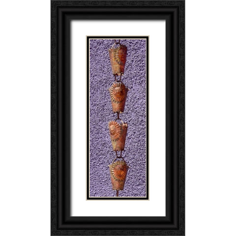 Waiting for Rain I Black Ornate Wood Framed Art Print with Double Matting by Taylor, Douglas