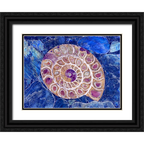 Ammonite in Labradorite Black Ornate Wood Framed Art Print with Double Matting by Taylor, Douglas
