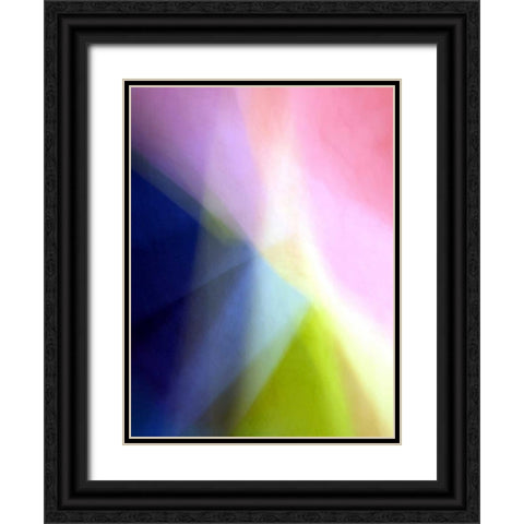 April Dawn Black Ornate Wood Framed Art Print with Double Matting by Taylor, Douglas