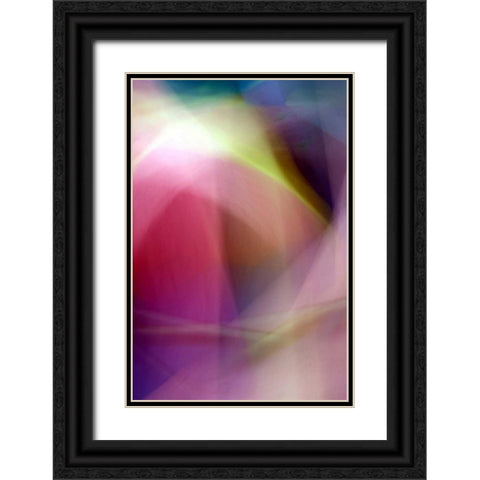 Chaos of Color Black Ornate Wood Framed Art Print with Double Matting by Taylor, Douglas