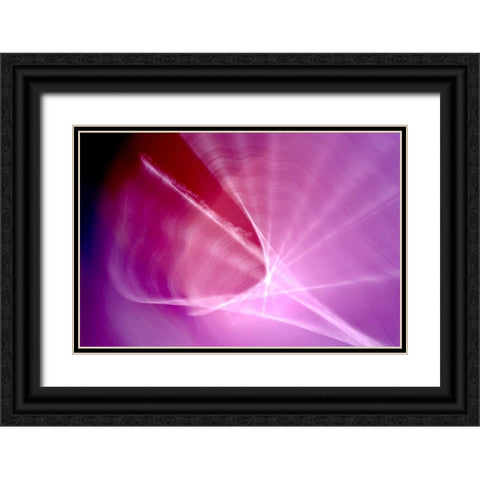 The Shell Black Ornate Wood Framed Art Print with Double Matting by Taylor, Douglas