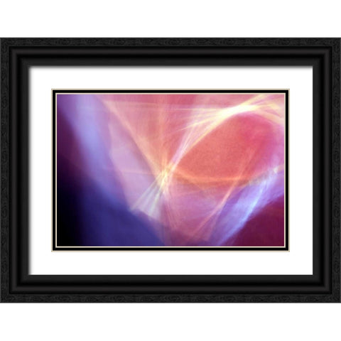 Empty Glass Black Ornate Wood Framed Art Print with Double Matting by Taylor, Douglas