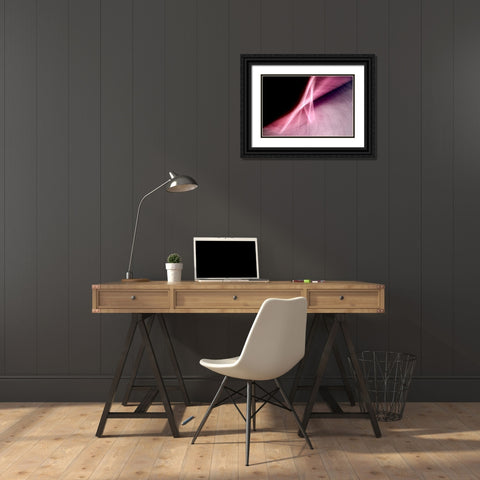 Flying A Black Ornate Wood Framed Art Print with Double Matting by Taylor, Douglas