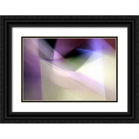 Tazza Black Ornate Wood Framed Art Print with Double Matting by Taylor, Douglas