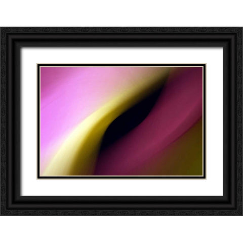 Twisted Beams I Black Ornate Wood Framed Art Print with Double Matting by Taylor, Douglas