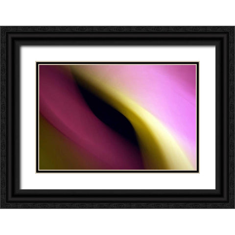Twisted Beams II Black Ornate Wood Framed Art Print with Double Matting by Taylor, Douglas