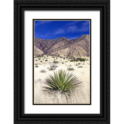 Desert Grasslands I Black Ornate Wood Framed Art Print with Double Matting by Taylor, Douglas