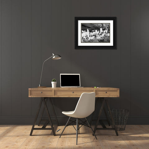Cliff Palace Pueblo BW Black Ornate Wood Framed Art Print with Double Matting by Taylor, Douglas