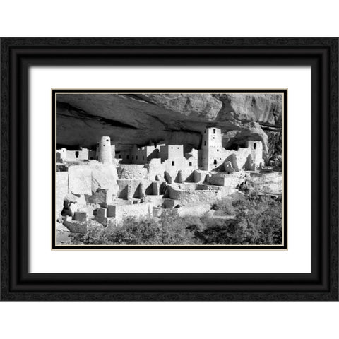 Cliff Palace Pueblo BW Black Ornate Wood Framed Art Print with Double Matting by Taylor, Douglas
