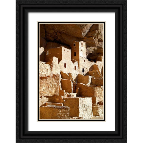Cliff Palace Detail IV Black Ornate Wood Framed Art Print with Double Matting by Taylor, Douglas
