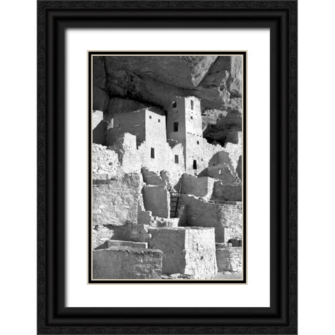 Cliff Palace Detail IV BW Black Ornate Wood Framed Art Print with Double Matting by Taylor, Douglas