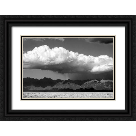 Cool Colorado Rain BW Black Ornate Wood Framed Art Print with Double Matting by Taylor, Douglas