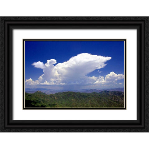Distant Rain Black Ornate Wood Framed Art Print with Double Matting by Taylor, Douglas