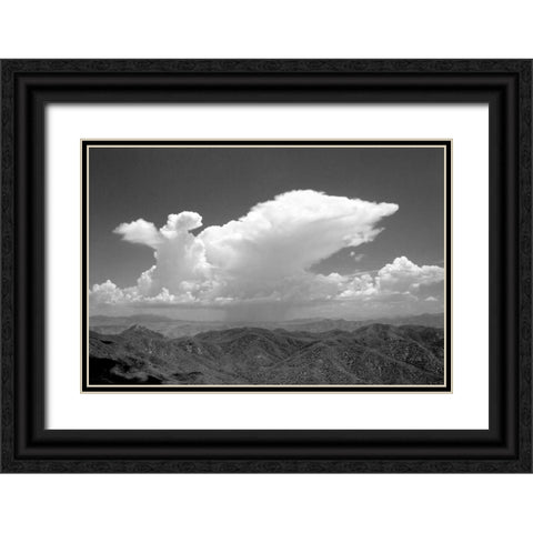 Distant Rain BW Black Ornate Wood Framed Art Print with Double Matting by Taylor, Douglas